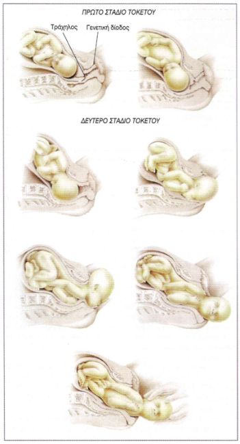 birth