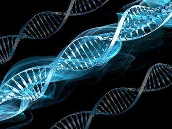 Η διπλή έλικα του DNA